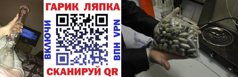 сколько стоит  Пущино  ГАШ Изолятор 