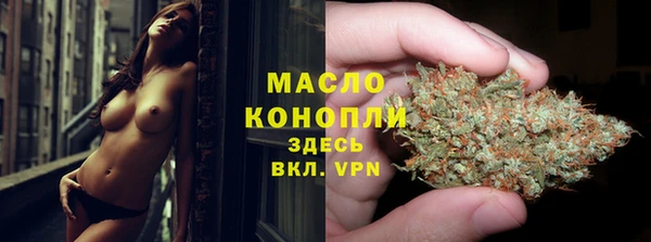 гидра Арсеньев