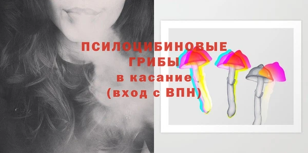PSILOCYBIN Киренск