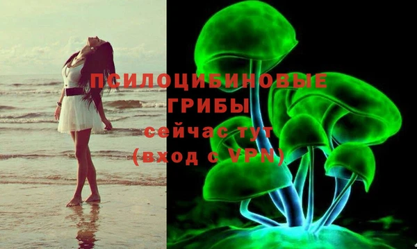 гидра Арсеньев