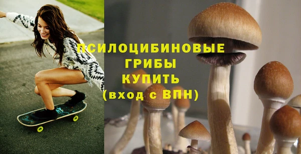 гашик Алексеевка