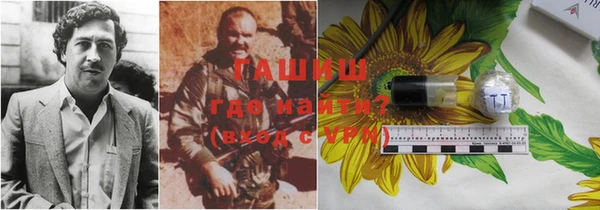 гашик Алексеевка
