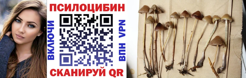 Псилоцибиновые грибы Cubensis mega зеркало Пущино
